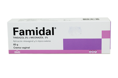 Famidal Crema Vaginal