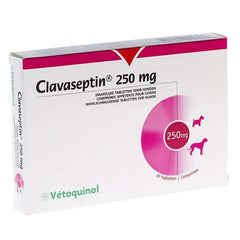 Clavaseptin Comprimidos Masticables 250mg